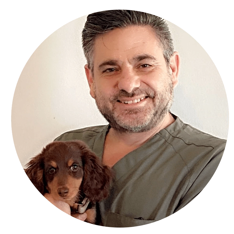 Petpack Testimonials - Matt Rosen