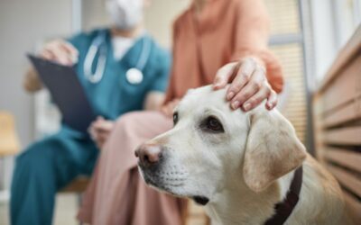 Why your clinic feels chaotic