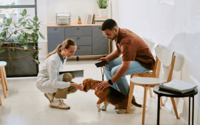 Why clients don’t come back and what to do about it