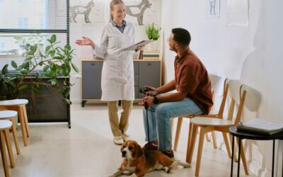 Why pet owners don’t see your value and how to change it