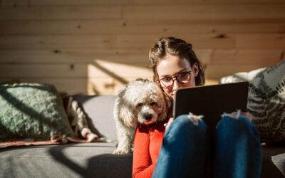A Guide to Managing an Email Newsletter for Vets