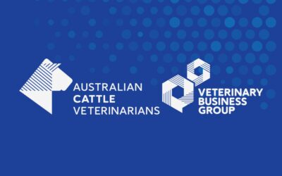 ACV/VBG Conference 2025