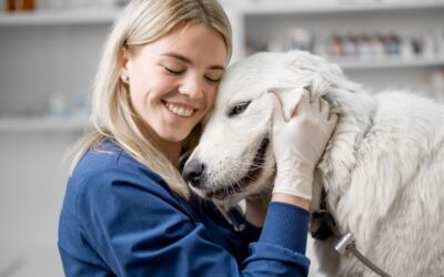 Delegating for Practice Growth