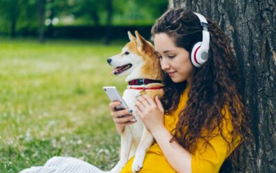 How Facebook ads can help your vet business grow