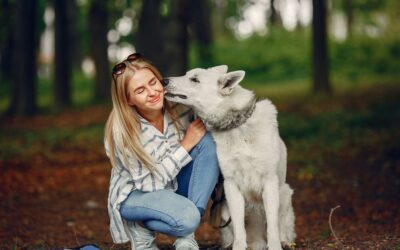 How vets can grow their Instagram followers