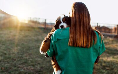 Petpack Helps Mobile Vet Service Expand Their Reach