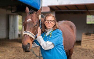 Special Website Eases Ballarat Vet’s Recruitment Woes