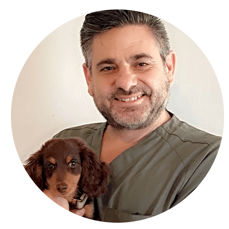 Petpack Testimonials - Matt Rosen