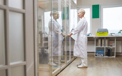 Why some vet clinics quietly lose momentum