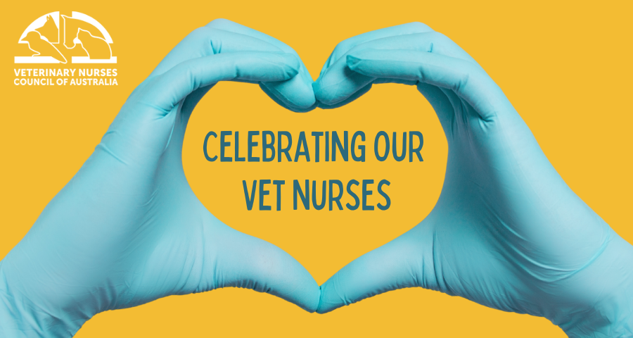 Celebrating World Vet Nurse Day Vet News   Unnamed 