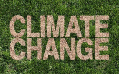 Virtual climate change conference for vets