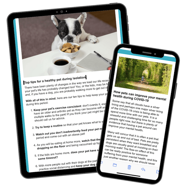 PetPack newsletter content on a tablet and mobile phone