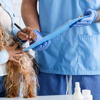 AVA calls for pet insurance tax rebate