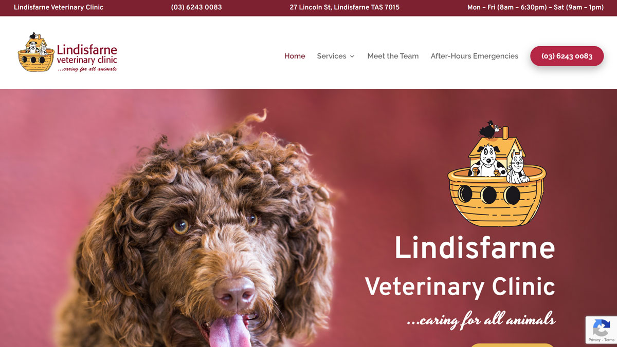 PetPack Websites - Lindisfarne Vet