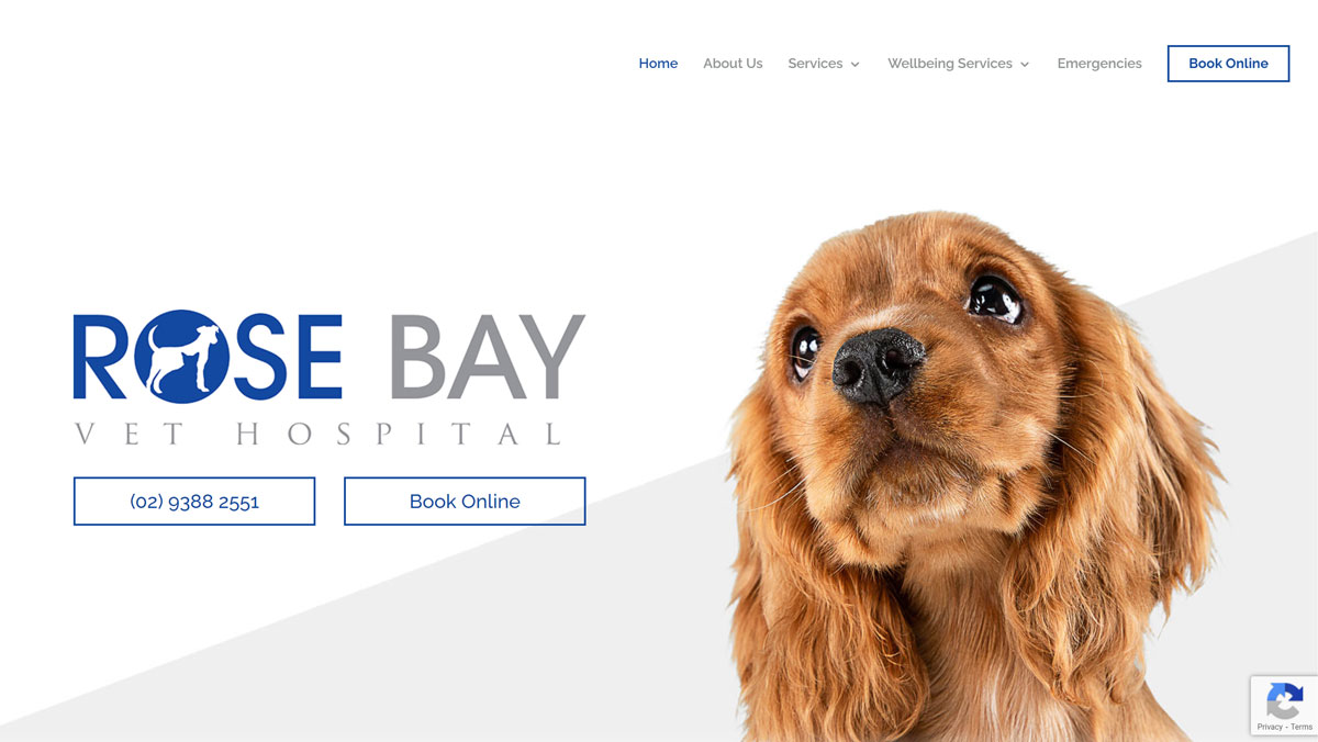 PetPack Websites - Rose Bay Vet