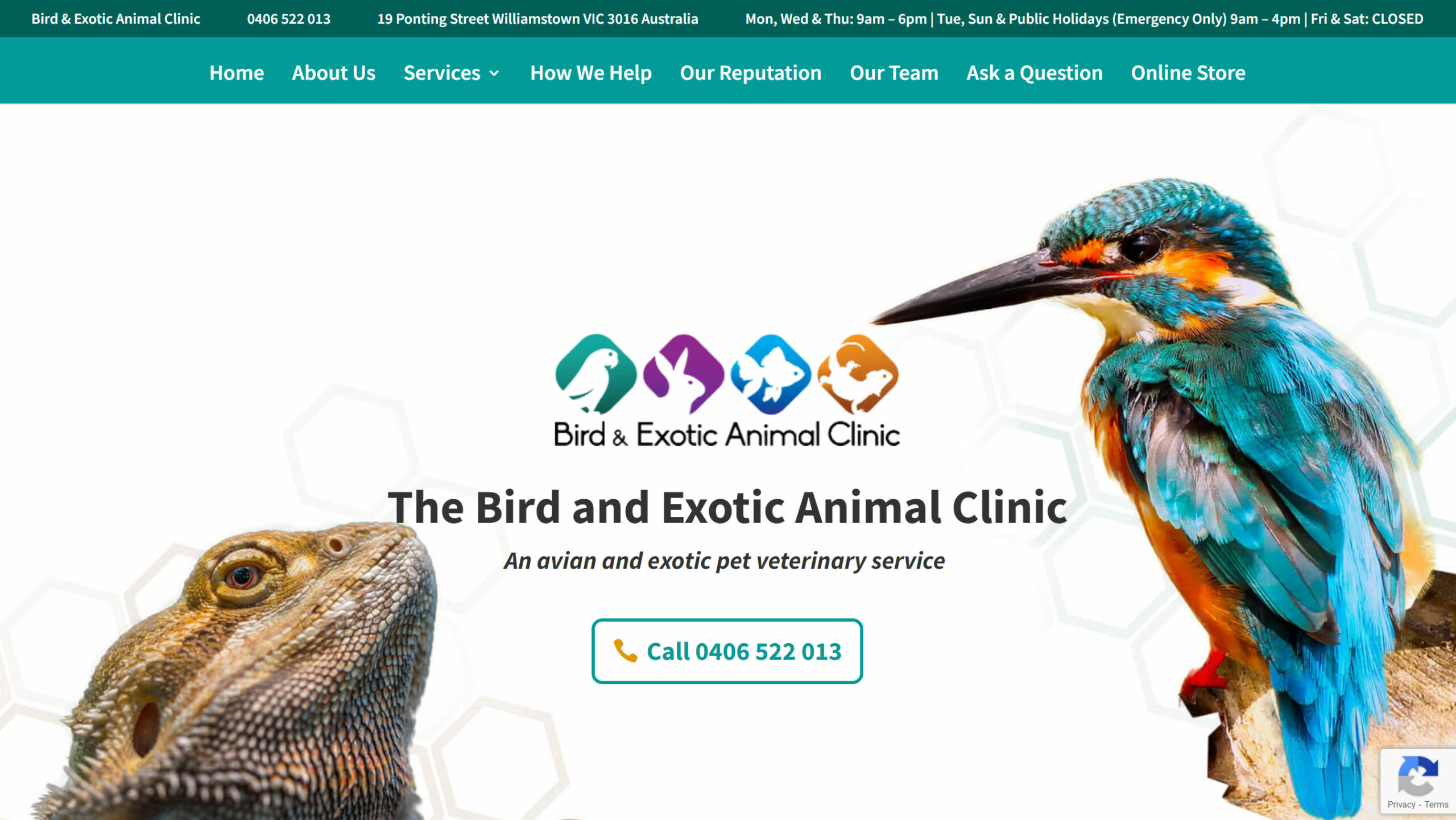 PetPack Websites - The Bird and Exotic Animal Clinic