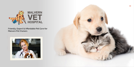 How PetPack Helped Dr Andrea Tims Grow Malvern Vet Hospital