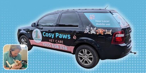 PetPack helps mobile vet service expand their reach