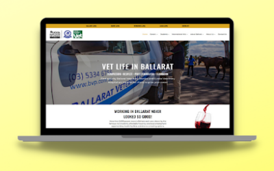 Special website eases Ballarat vet’s recruitment woes