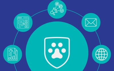 Why experience matters to grow your veterinary clinic