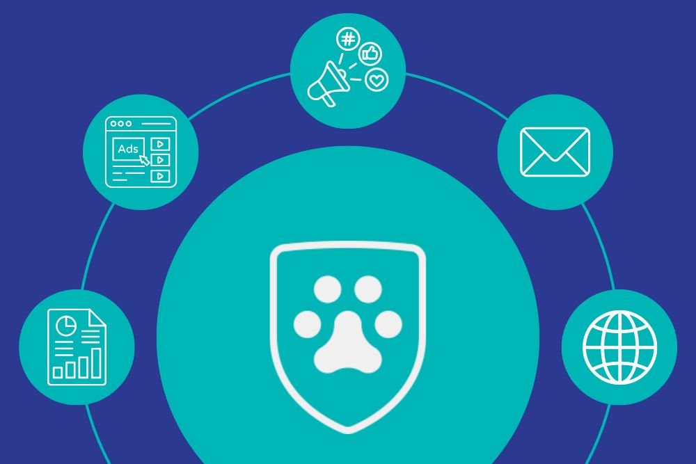 Experience matters to grow your vet clinic