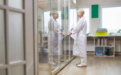 Why some vet clinics quietly lose momentum