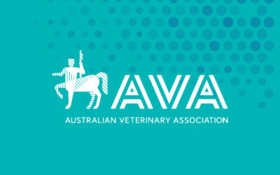 AVA Conference 2025