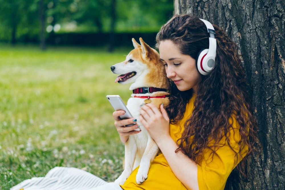 how-facebook-ads-can-help-your-vet-business-grow How Facebook ads can help your vet business grow